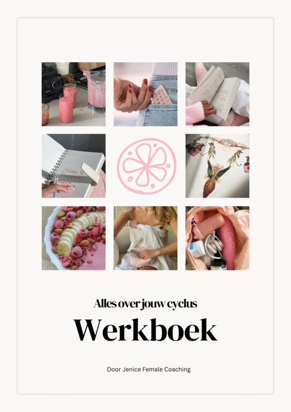 Werkbook img